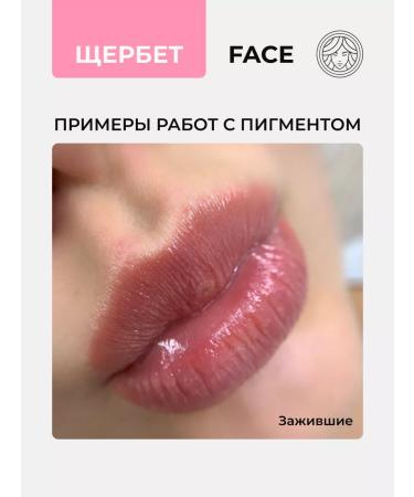 Face Company Face Pigment for Permanent Tattoo Tattoo Fais - Buy Online on GoSupps.com