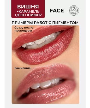 FACE Company Face Pigment Cherry for Permanent Tattoo Tattoo Fais PM - Buy Online on GoSupps.com