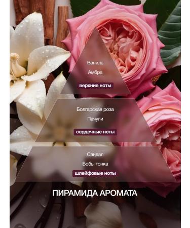 Tashe Hair mask intensively restoring Sultans Bliss - Buy Online on GoSupps.com