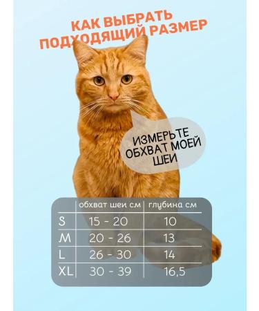 Collar for cats and dogs protective veterinary "chicken" - Buy Online on GoSupps.com