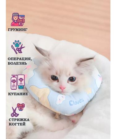 Veterinary "Cloud" collar for cats and dogs - Buy Online on GoSupps.com