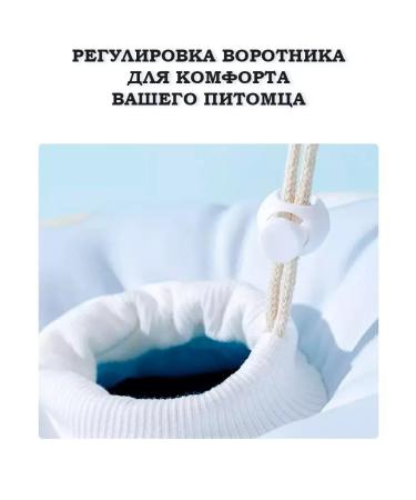 Veterinary "Cloud" collar for cats and dogs - Buy Online on GoSupps.com