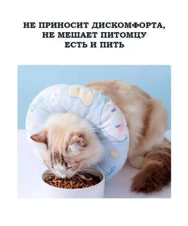 Veterinary "Cloud" collar for cats and dogs - Buy Online on GoSupps.com