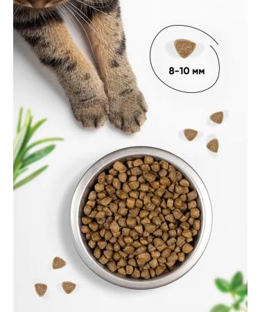 Meat Garden Dry food Holistic for cats Bezernovaya 1.5 kg - Buy Online on GoSupps.com