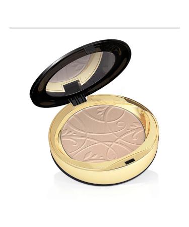 Eveline powder powder for a face matting # 020