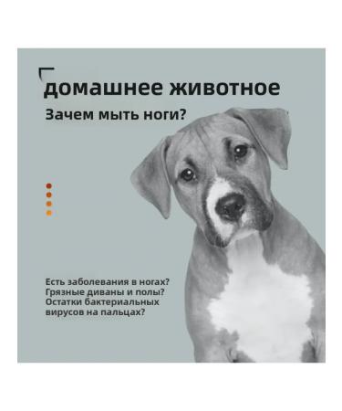 Pet foot wash cup - Buy Online on GoSupps.com