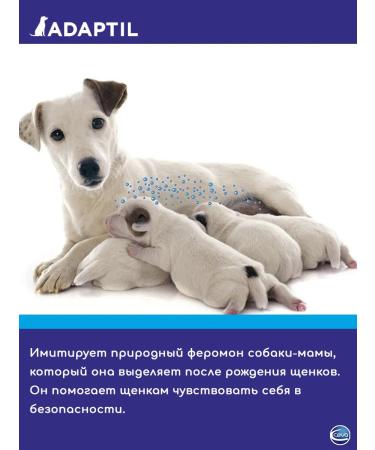 Ceva Pheromones for dogs adapted a replaced block48 ml - Buy Online on GoSupps.com