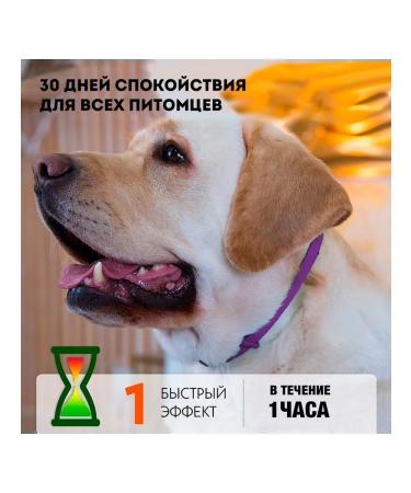 Relaxivet The collar is sedative to medium large dogs 65 cm 1 pcs - Buy Online on GoSupps.com