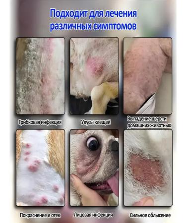 Stop itch for dogs Suspension from allergies 100 ml - Buy Online on GoSupps.com