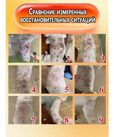 Stop itch for dogs Suspension from allergies 300 ml - Buy Online on GoSupps.com