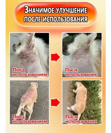 Stop itch for dogs Suspension from allergies 300 ml - Buy Online on GoSupps.com