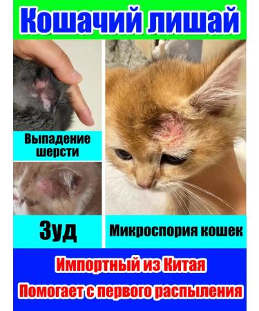 Stop itch for cats Suspension from allergies 100 ml