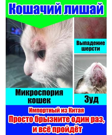 Stop itch for cats Suspension from allergies 300 ml