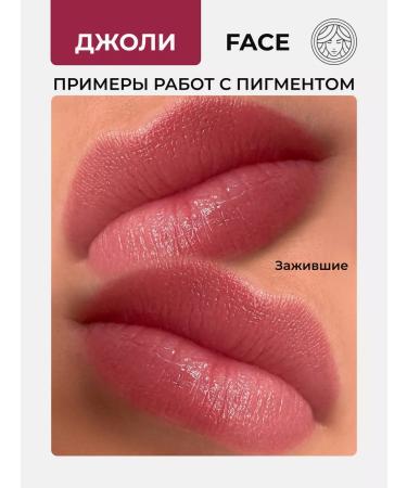 FACE Company Jolie Face Pigment for Permanent Tattoo Tattoo Fais PM - Buy Online on GoSupps.com