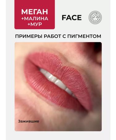 FACE Company Face Pigment Megan for permanent tattoo tattoo Fais PM - Buy Online on GoSupps.com