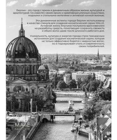 MALLE HAIR Restoring shampoo for oily hair Professional - Buy Online on GoSupps.com