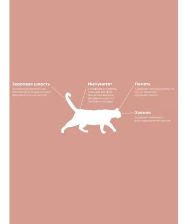 Fodder breeder Feed for cats salmon 3 kg - Buy Online on GoSupps.com