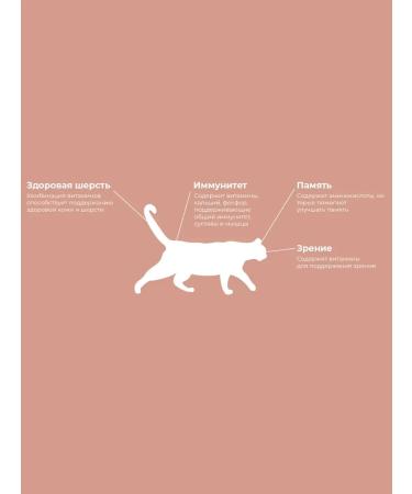 Fodder breeder Cat food vealt 3 kg - Buy Online on GoSupps.com