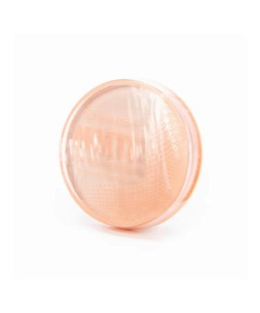 FARRES Facial powder compact Matte classic tone 01 13g 4 pcs - Buy Online on GoSupps.com