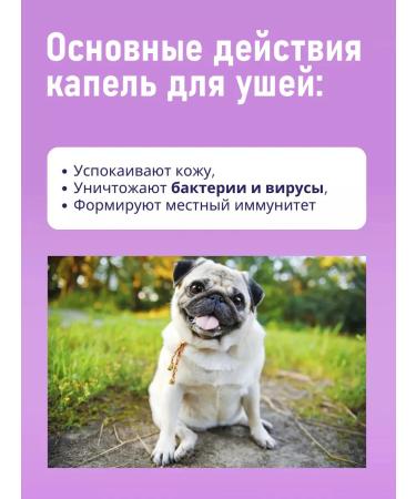 Lotion for the ears of dogs of cats Cleansing 60 ml - Buy Online on GoSupps.com