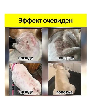 Spray from itching for dogs100ml - Buy Online on GoSupps.com