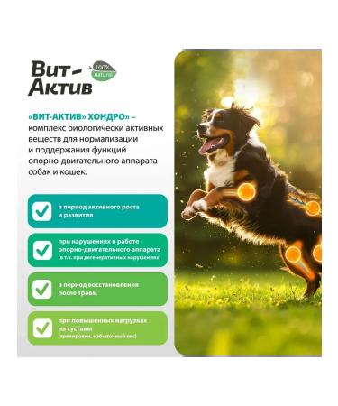 Vit-Active Vitamin-mineral supplement of dogs of puppies of cats kittens 90t - Buy Online on GoSupps.com