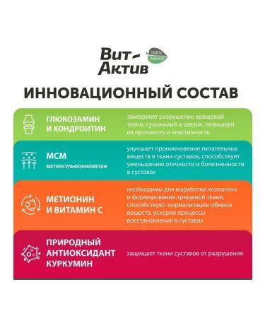 Vit-Active Vitamin-mineral supplement of dogs of puppies of cats kittens 90t - Buy Online on GoSupps.com