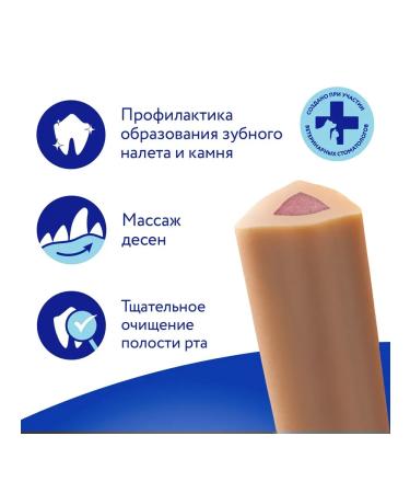 Mnyams Dental's delicacy for dogs "dental snack" with salmon 95g - Buy Online on GoSupps.com