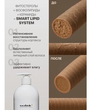 Vashlik Professional Lipid shampoo and balm professional care set - Buy Online on GoSupps.com