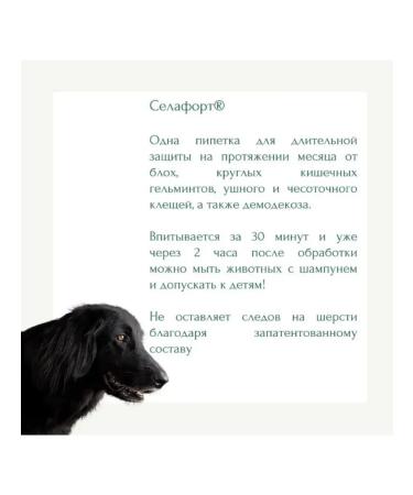 KRKA Selafort 12% 2 ml (240 mg) for dogs 20.1- 40 kg No. 1 - Buy Online on GoSupps.com