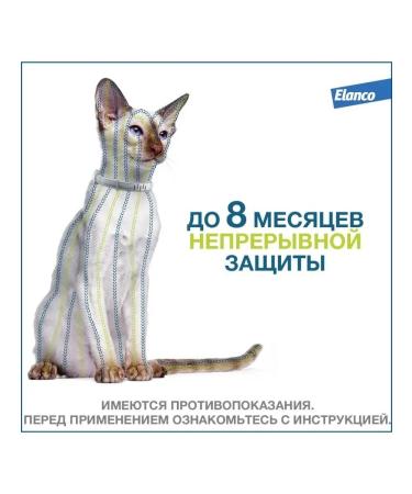 Elanco Foretrae collar from ticks and fleas for cats 38 cm - Buy Online on GoSupps.com