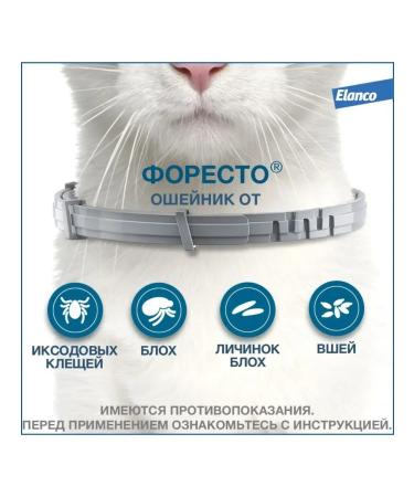 Elanco Foretrae collar from ticks and fleas for cats 38 cm - Buy Online on GoSupps.com