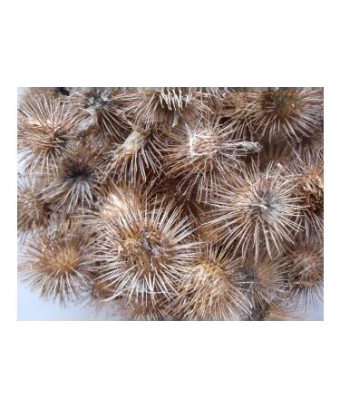 ZooMOM Polyka burdock of a burdock - Buy Online on GoSupps.com