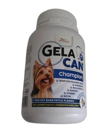 Orling Gelacan Champion Color Addter in Gelakan Champion Black