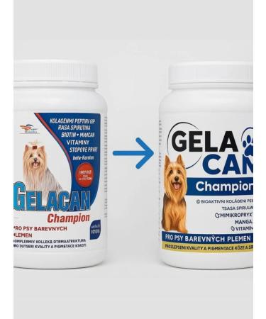 Orling Gelacan Champion Color Addter in Gelakan Champion Black - Buy Online on GoSupps.com