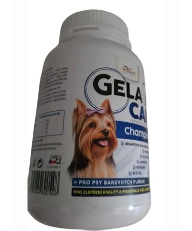 Orling Gelacan Champion Color Addter in Gelakan Champion Black - Buy Online on GoSupps.com