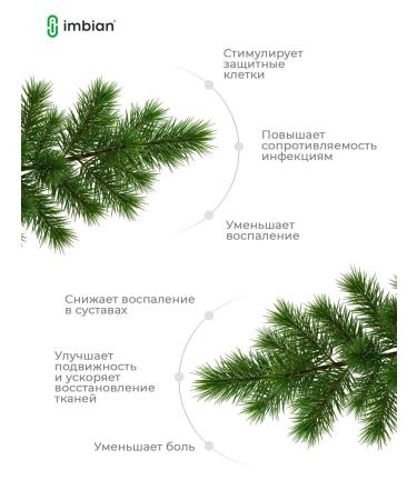 IMBIAN Pine bark extract 60 capsules - Buy Online on GoSupps.com
