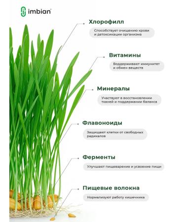 IMBIAN Witgrass Extract 60 capsules - Buy Online on GoSupps.com