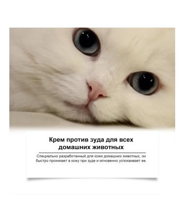 Ass -to -the -Encock Cream Pets Restoration of Skin - Buy Online on GoSupps.com