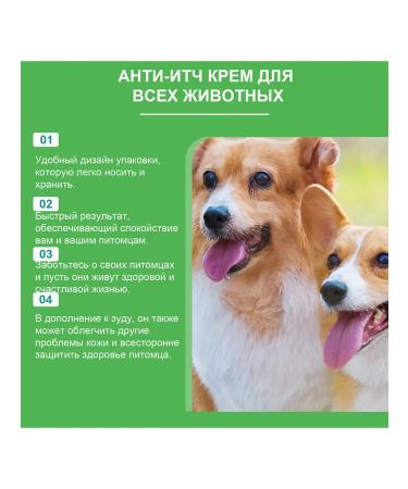 Ass -to -the -Encock Cream Pets Restoration of Skin - Buy Online on GoSupps.com