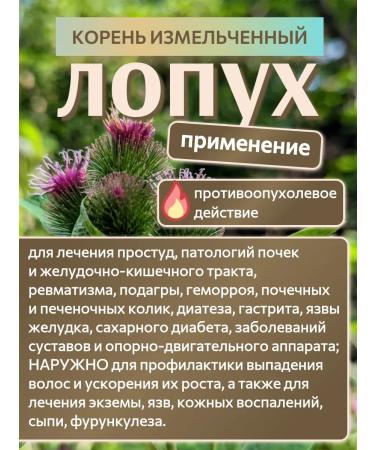 Altai Rost Burdock root 200 g - Buy Online on GoSupps.com