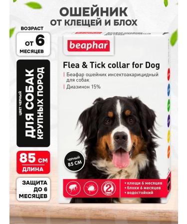 beaphar Collar from ticks and fleas for dogs of large breeds - 85 cm