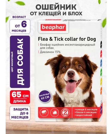 beaphar Collar from ticks and fleas for dogs purple - 65 cm