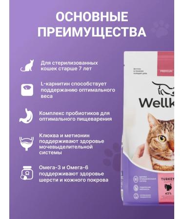 Wellkiss Dry food for sterilized cats over 7 years old 1.5 kg - Buy Online on GoSupps.com