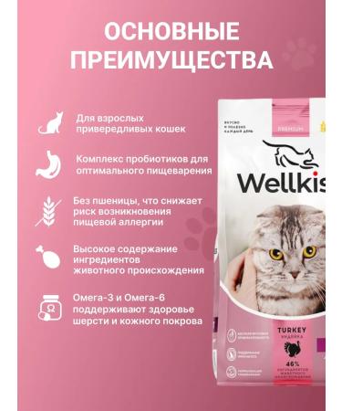 Wellkiss Dry food for fastidious cats 400 grams - Buy Online on GoSupps.com
