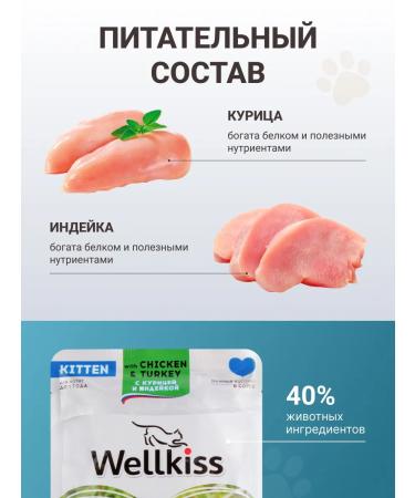 Wellkiss Wet food for kittens with chicken and turkey in gravy 85 g * 12 pcs. - Buy Online on GoSupps.com