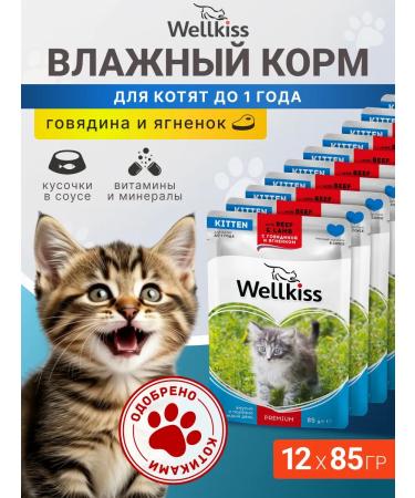 Wellkiss Wet food for kittens with lamb and beef in sauce 85 g * 12 pcs.