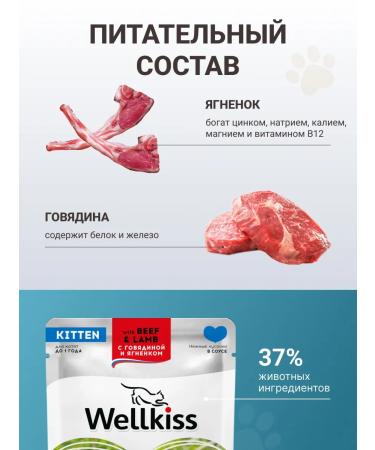 Wellkiss Wet food for kittens with lamb and beef in sauce 85 g * 12 pcs. - Buy Online on GoSupps.com