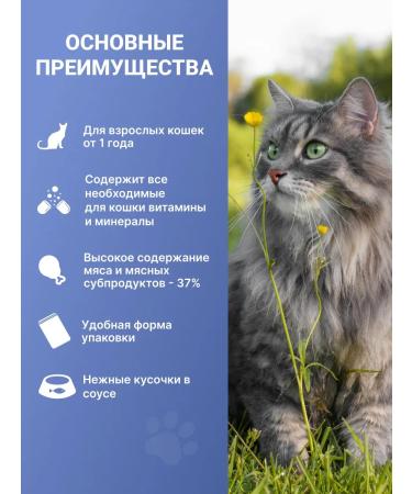 Wellkiss Wet food for adult cats with duck in sauce 85 g * 12 pcs. - Buy Online on GoSupps.com