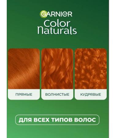 Garnier Persistent hair cream Color Naturals 7.4 - Buy Online on GoSupps.com